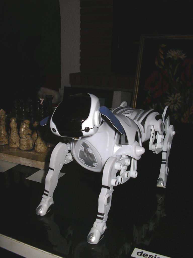 robodog1